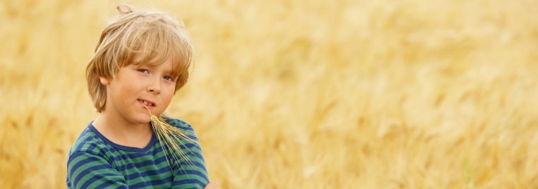 TiiMi Panospuhdistamo TiiMi Panospuhdistamo